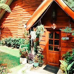 https://moon-plains-forest-log.kandyhotelsnow.com